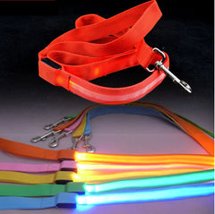 Glowing Night Safety Dog Leash