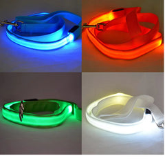 Glowing Night Safety Dog Leash