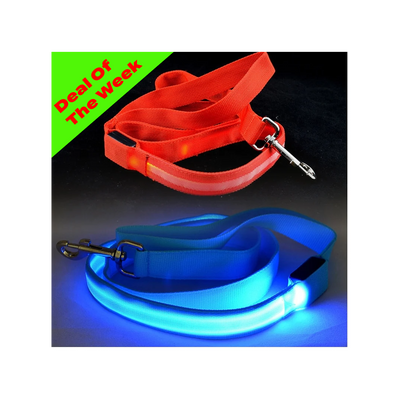 Glowing Night Safety Dog Leash