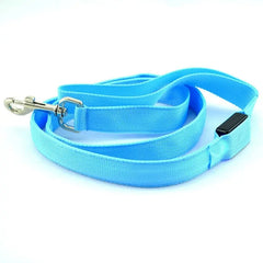 Glowing Night Safety Dog Leash