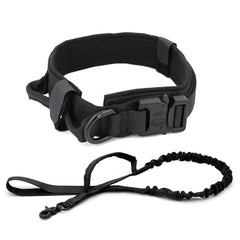 Heavy Duty Dog Collar