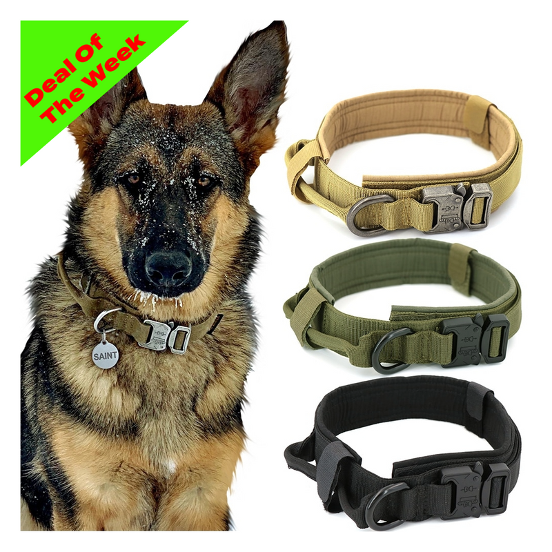 Heavy Duty Dog Collar