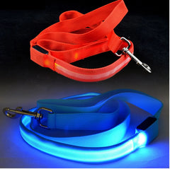 Glowing Night Safety Dog Leash