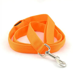 Glowing Night Safety Dog Leash