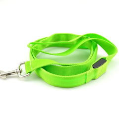 Glowing Night Safety Dog Leash